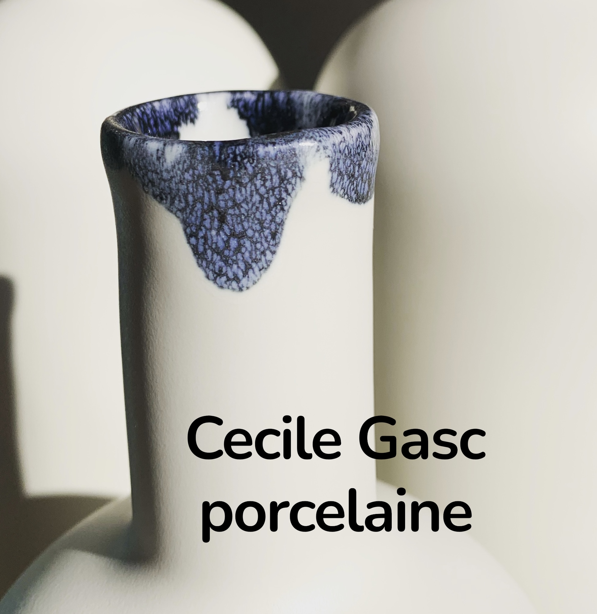 Logo Cecile Gasc porcelaine