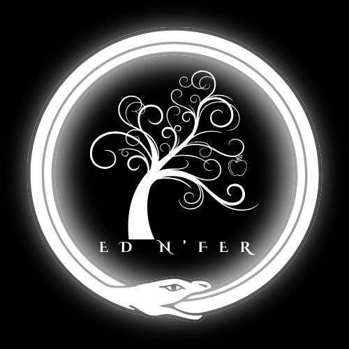 Logo ED N&rsquo; FER