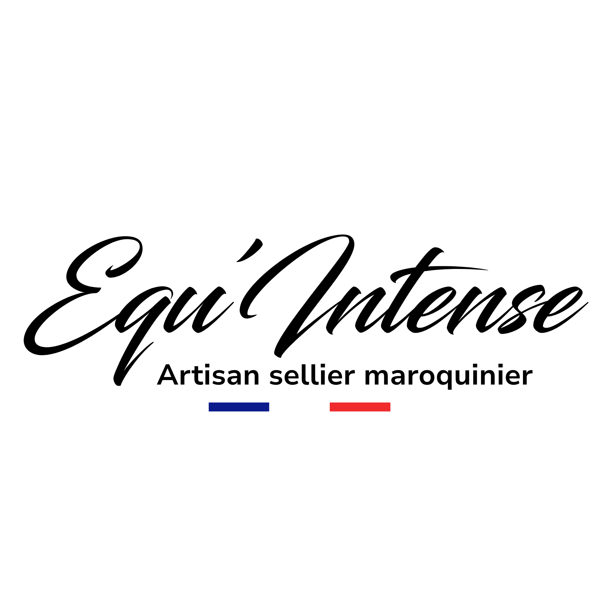 Logo Equintense