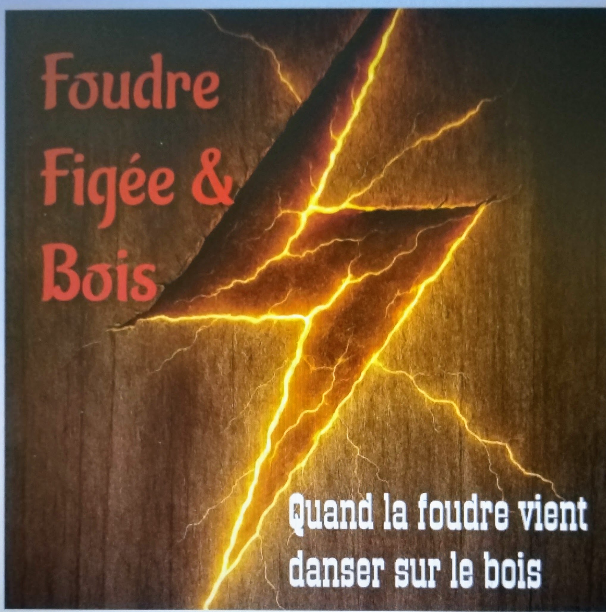 Logo Foudre figée & Bois