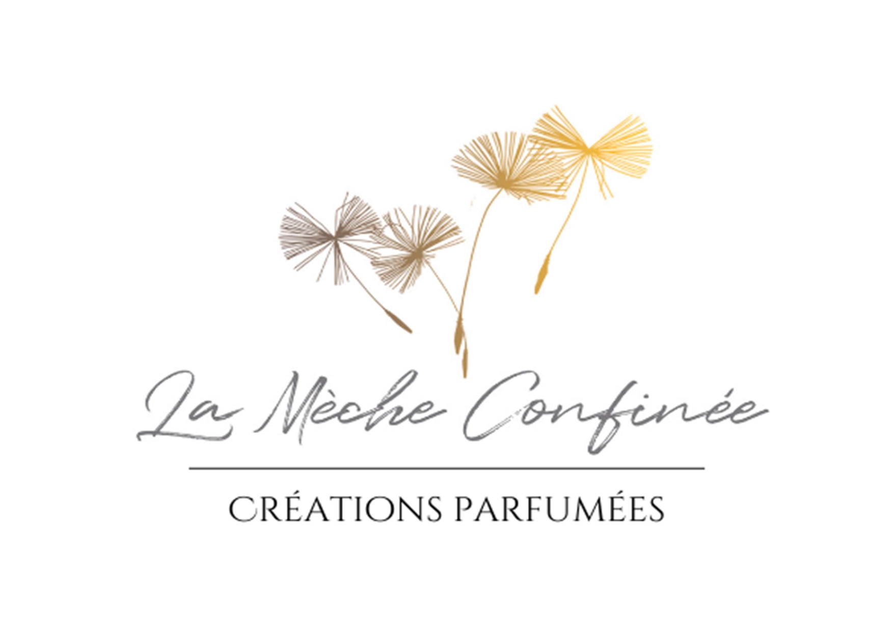 Logo La Mèche Confinée