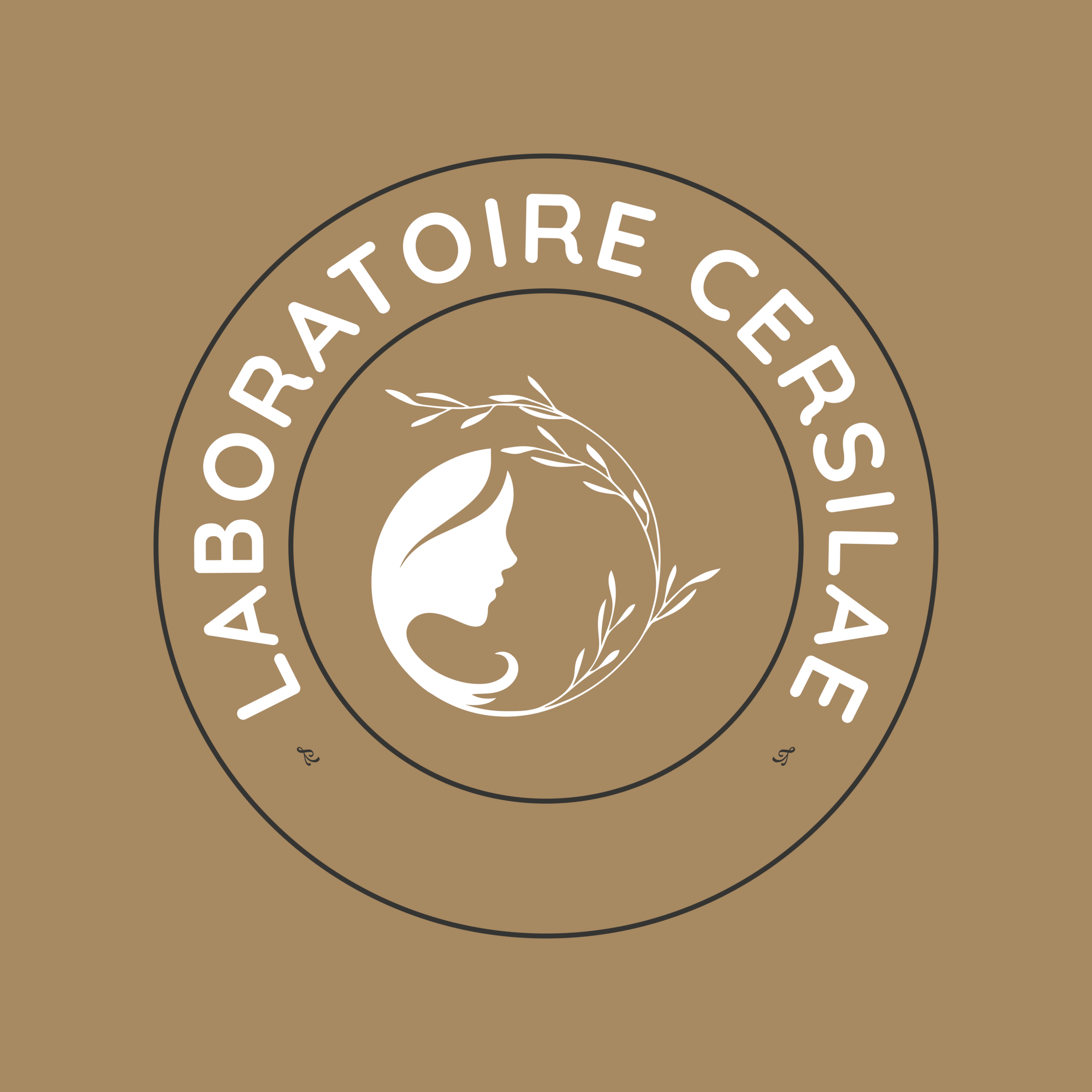 Logo Laboratoire Cersilae