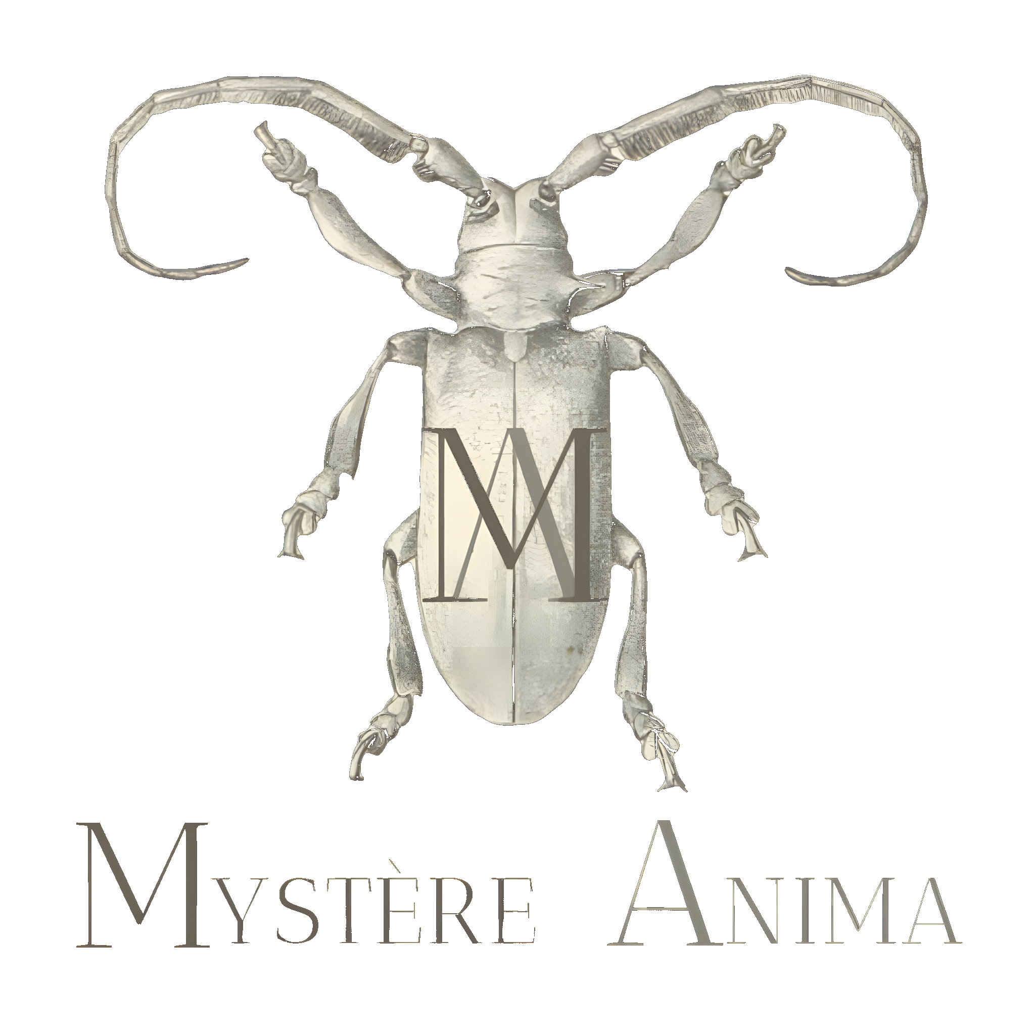 Logo Mystère Anima