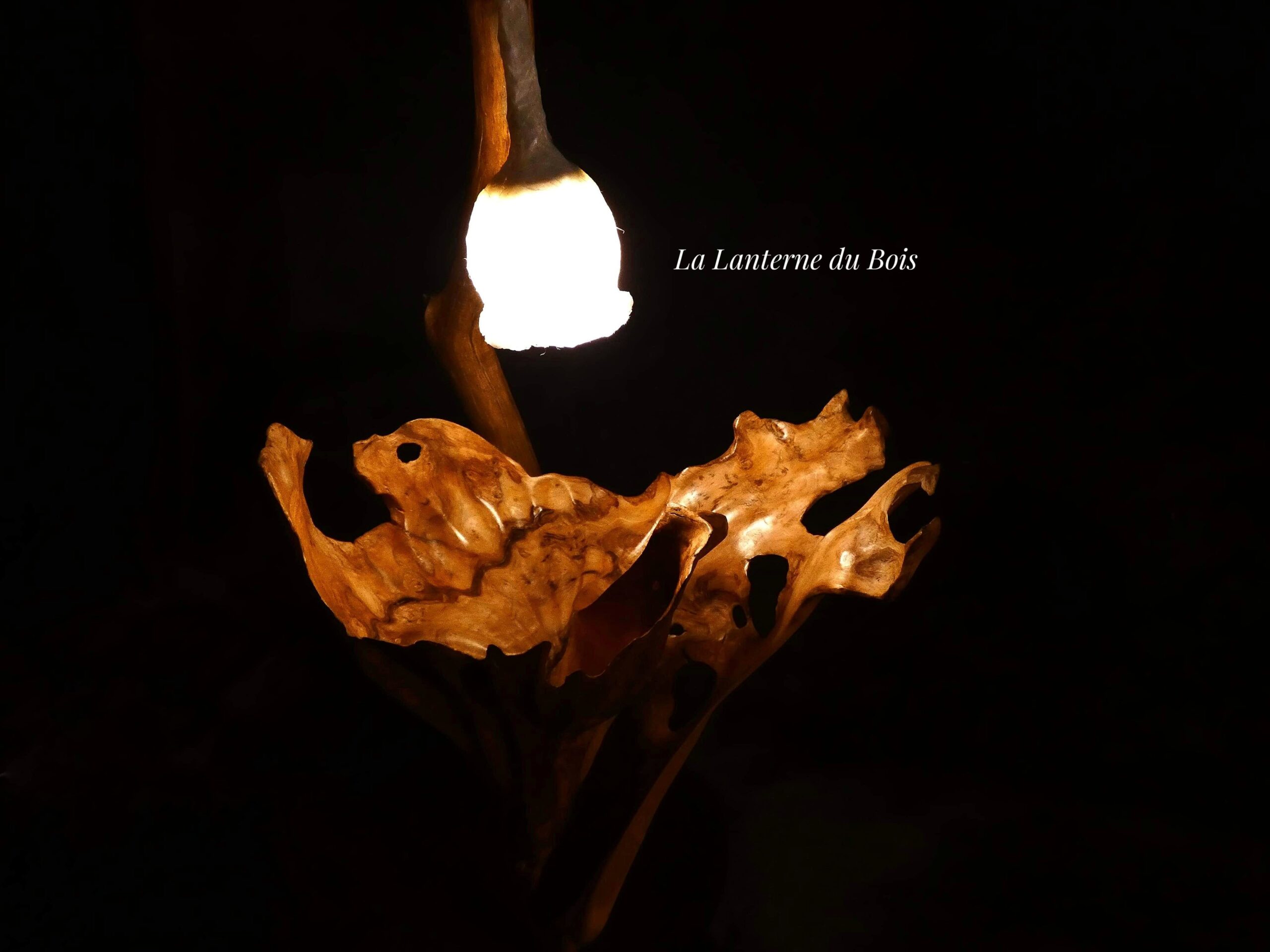 Logo La Lanterne du Bois